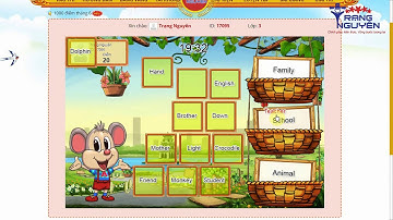 Tiếng Anh Lớp 3 vòng 14 | Thi Trạng Nguyên Tiếng Việt Tiếng Anh Lớp 3 | Thi Trạng Nguyên