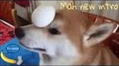 Mah new intro read description