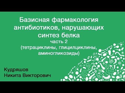 Базисная фармакология антибиотиков, нарушающих синтез белка. Часть 2