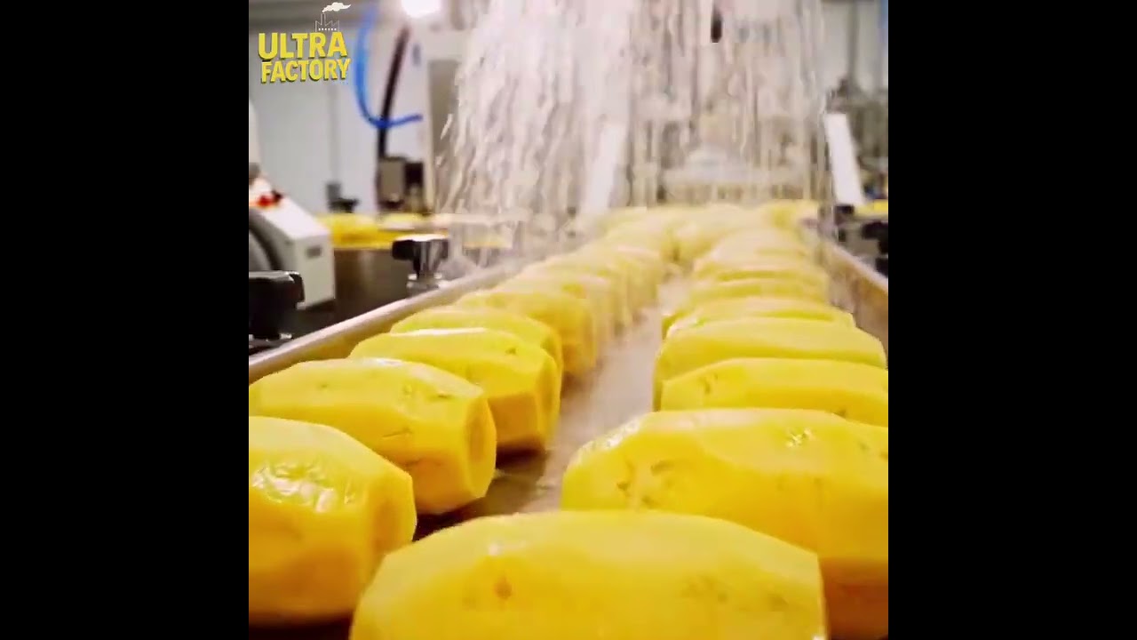 Pineapple juice process in factory 