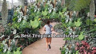 Amazing Tropical Landscape Idea in the Philippines #tropicalgarden #landscaping #philippines