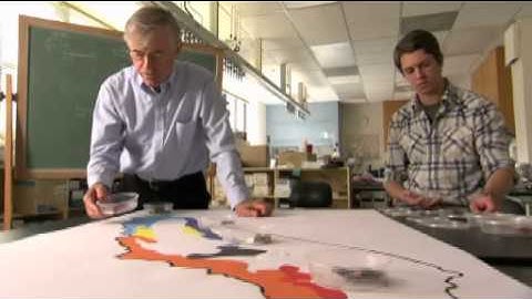 Evolution in Action - California Salamanders