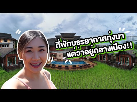 ที่พักบรรยากาศทุ่งนา แต่ว่าอยู่กลางเมือง!!! : Ricefarm Villa สุราษฎร์ธานี