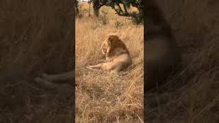 Mahali Mzuri #sofasafari | Episode 12