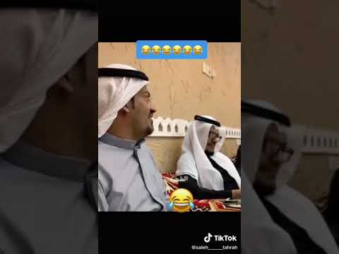 قصص الحيوانات الاسد والثعلب والدب في الغابه 