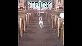 Memory (Instrumental) - Alex G @MusicMasterOST