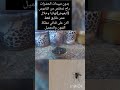 بدون مبيدات الحشرات راح نتخلص من الناموس البعوض نهائيا وخلال عشر دقايق فقط