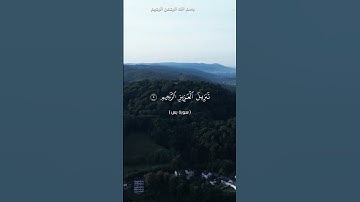 آيات من سورة يس.. الشيخ محمد الفقيه