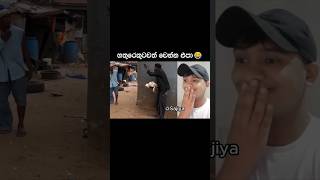 හතුරෙකුටවත් වෙන්න එපා 😂 #comedy #shorts #sajiya #memes