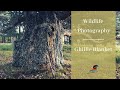 How to use the Ghillie Blanket | Wildlife Photography