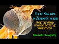 Focus stacking with zerene stacker  step by step macro editing workflow