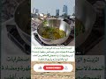 الزيت والزعتر يساعد في تهدئة المعدة الزعتر المعدة غذاء صحي خسارة الوزن 