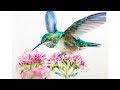 Watercolor Hummingbird Painting Process