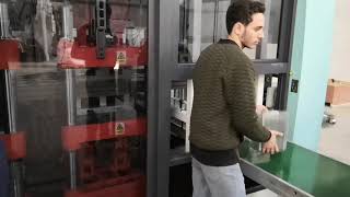 Pet Clamshell Fruit Box Full Automatic Thermoforming Machine