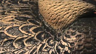 RedHead Reality Series Battle Zone Foam Filled Mallard Decoys