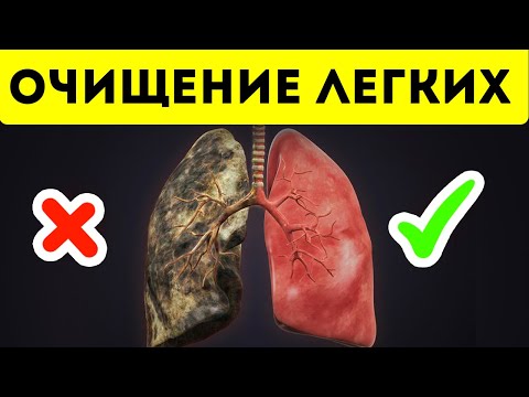 Мощнейшая чистка легких от смол, никотина и токсинов