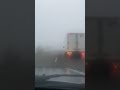 туман