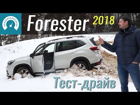 Где застрянет Форестер? Обзор Subaru Forester 2018