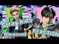 【Stray Kids】『THE SOUND』Japanese Reaction