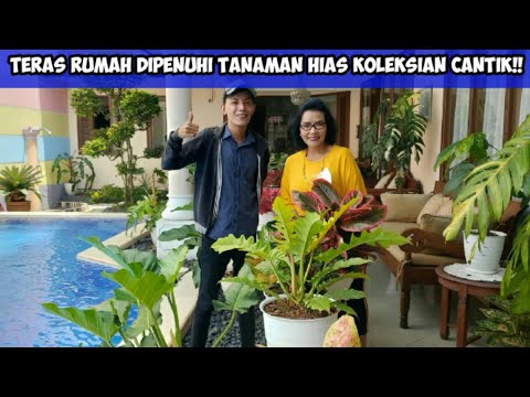 Video: Untuk Apa Tanaman?