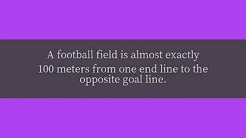 How big is a hectare?