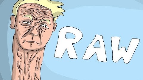 Gordon Ramsay Animated   -    R A W