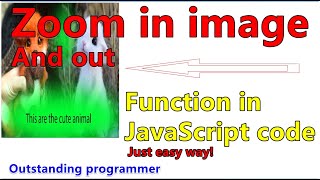 Image zoom in and out function in JavaScript with easy way... [2021] |outstanding programmer.