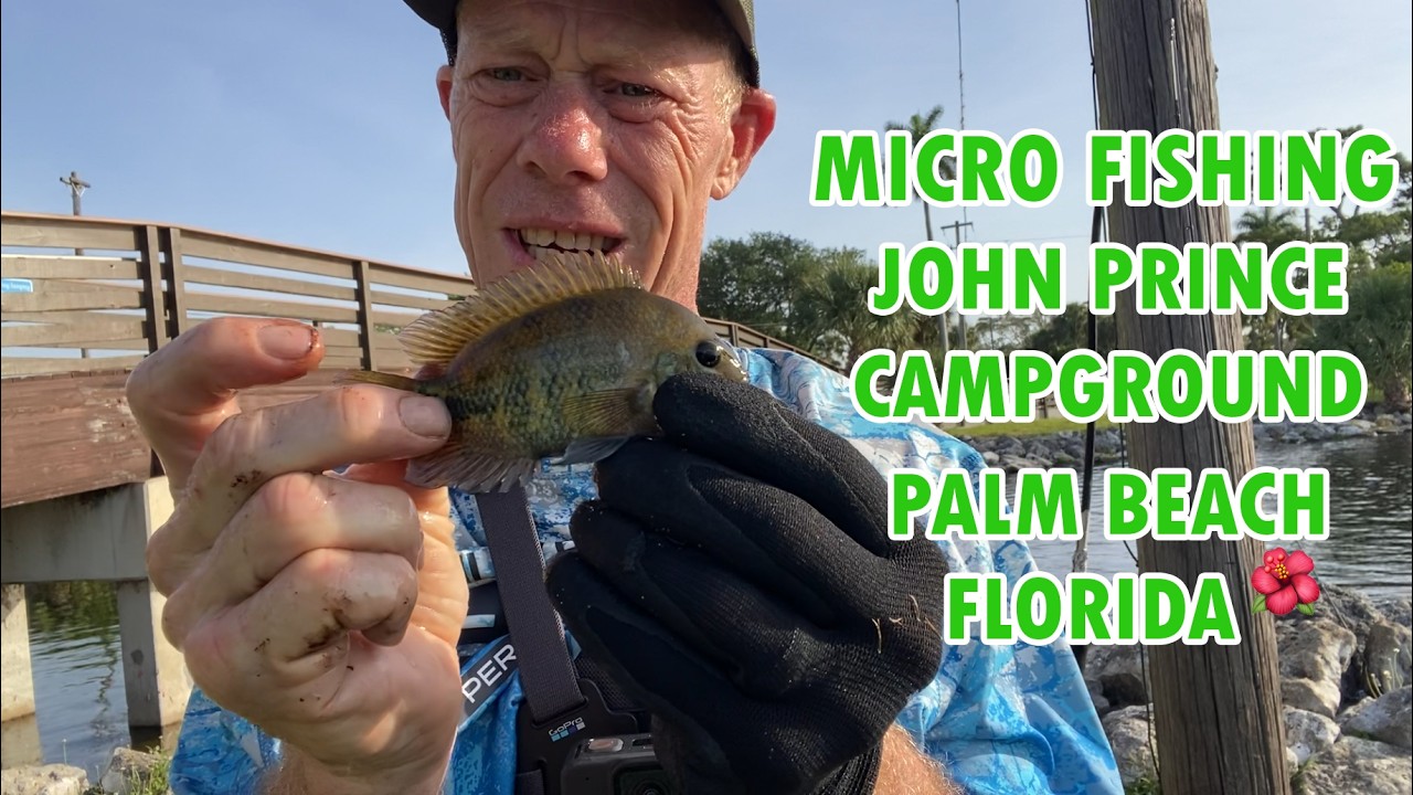 Micro fishing Palm Beach 🏝️#fishing #florida #redrabbit'stoutdooradventures