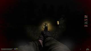 "Stalker Anomaly Isn't Scary"