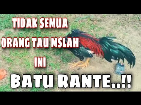 Batu Rante Kelebihan kekurangan batu rante‼️sahabat bkl - YouTube