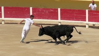 La Course Camarguaise, Camargue, France [HD] (videoturysta.eu)