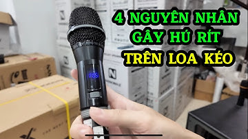 4 Nguyên Nhân Gây Hú Rít Trên Loa Kéo