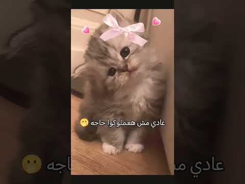 ١ أغسطس ٢٠٢٥