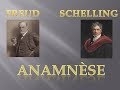 Freud et Schelling : Anamnèse - Psychanalyse et philosophie # 42
