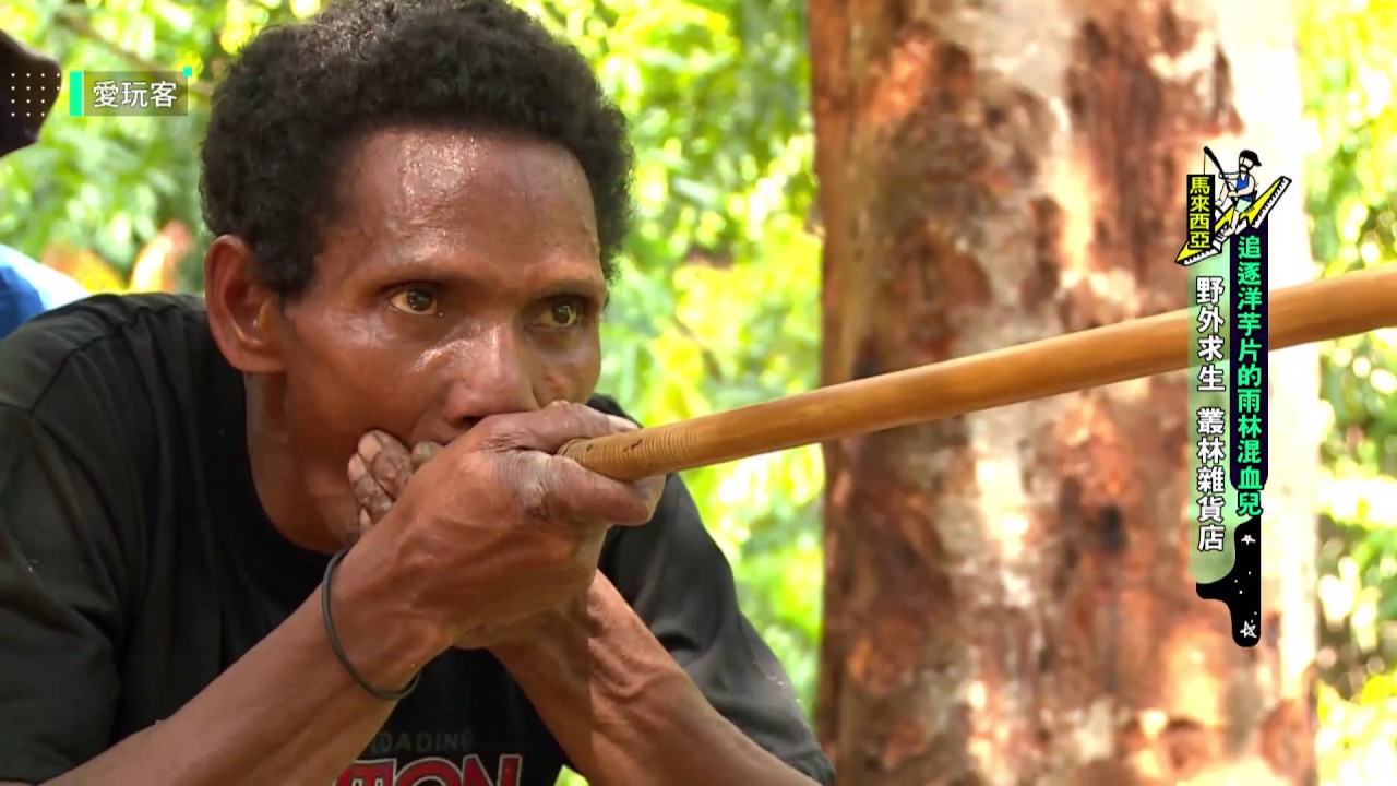製作吹箭、野外求生 整個叢林都是原始族人的雜貨店【馬來西亞】【週三愛玩客】賴東賢、Jason
