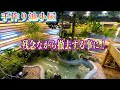 【究極の池小屋作り】①色々な生き物を放し飼い出来る自然溢れる池小屋に作り変えます