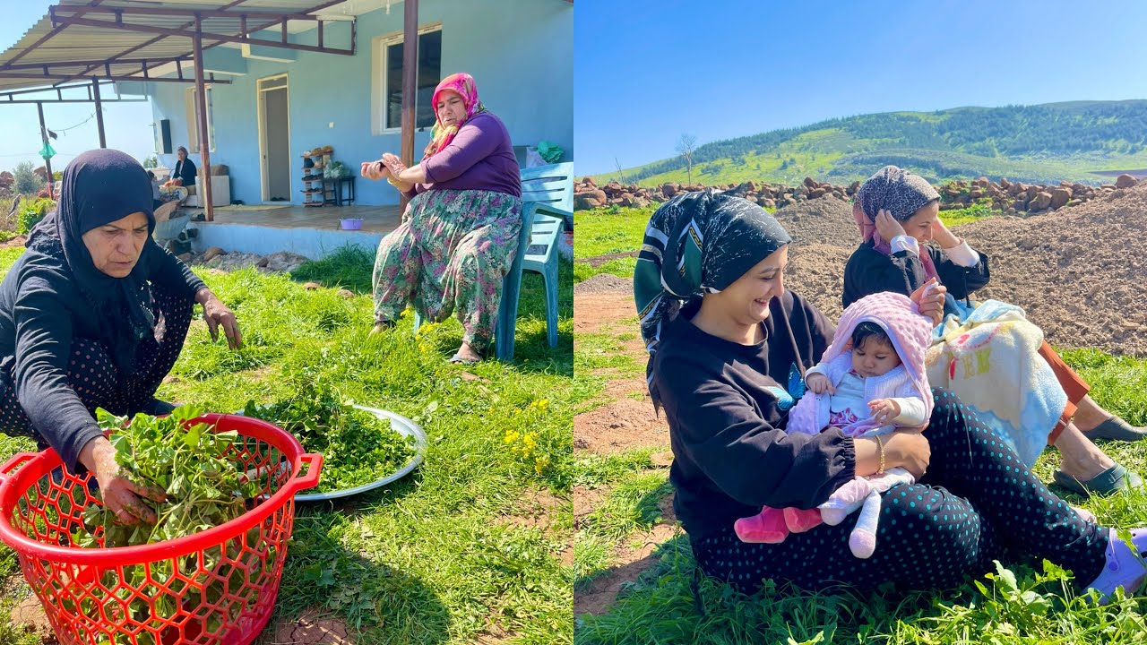 YENİ BEBEĞİMİZ ???? TEYZEM SÜPER KÖY EVİ EN LEZZETLİ YEMEK HAZIRLIĞI