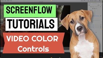 ScreenFlow Tutorials L24: Video Color Controls | Learn Video Editing software Online