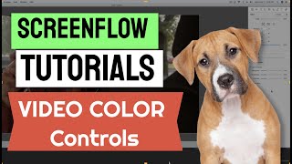 ScreenFlow Tutorials L24: Video Color Controls | Learn Video Editing software Online