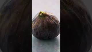 Fiku Rinon Organizimin