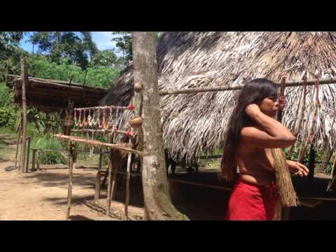 Video: Kaj je Amazonska jama?