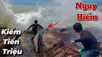 Nghề Nguy Hiểm Thu Nhập Tiền Triệu Ít Ai Làm | Hái Rong Mứt Mùa Sóng Dữ | The job makes millions.