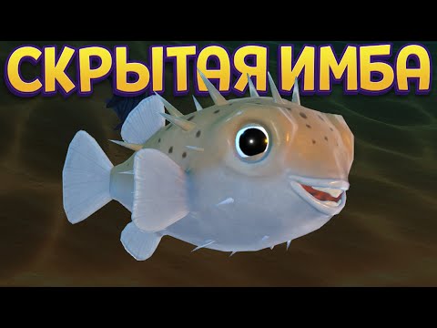 Видео: СКРЫТАЯ ИМБА ( Feed and Grow: Fish )