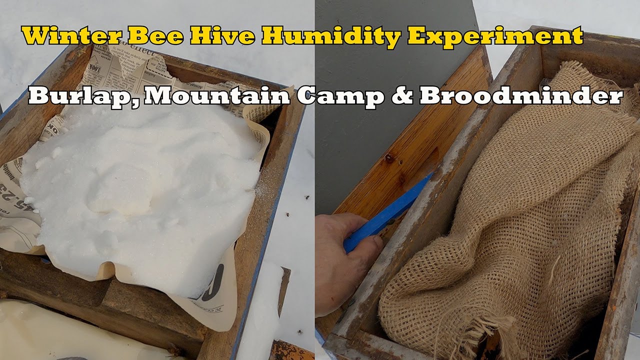 Winter Bee Hive Experiment... Burlap, Mountain Camp & Broodminder