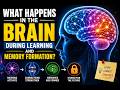 How Your Brain Creates Memories (Explained Simply)