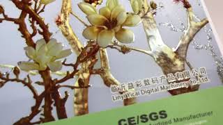 Embossed Printing with Varnish
