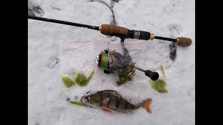 Ловля окуня на резину FishMagnet