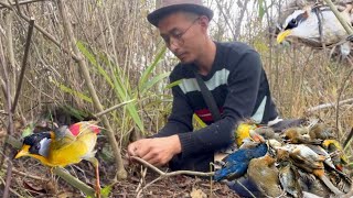 #how  To Trap Wild Birds In Traditional Way | Unlucky Day 😬😬| @achenvlogs by Achen Vlogs 66,300 views 1 month ago 12 minutes, 58 seconds