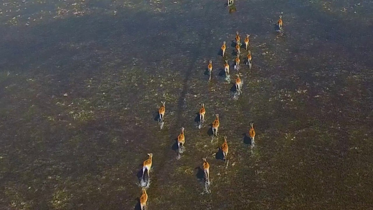 Blue Lagoon National Park YouTube