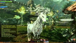 First night of ArcheAge Stream, Funtime Bonanza!